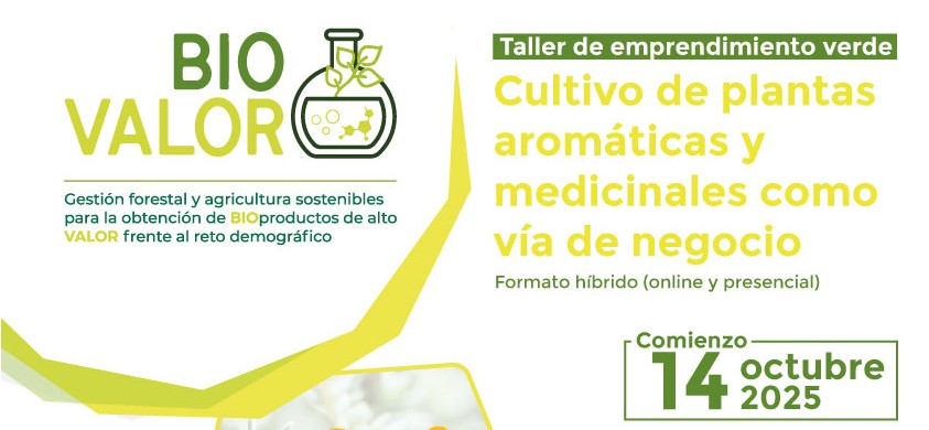 Curso de emprendimiento verde en Soria