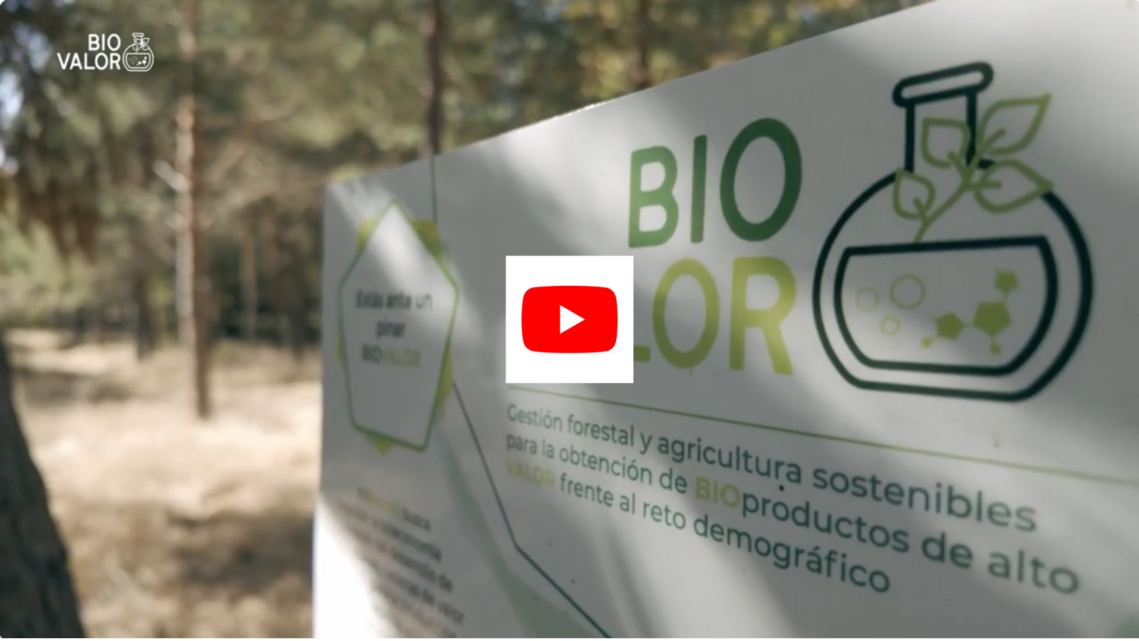 Actuaciones en masas forestales