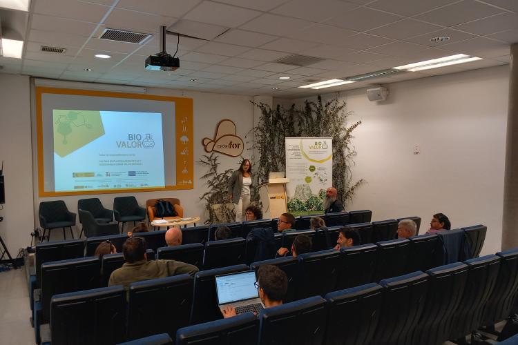 Taller de emprendimiento verde en las instalaciones de Cesefor